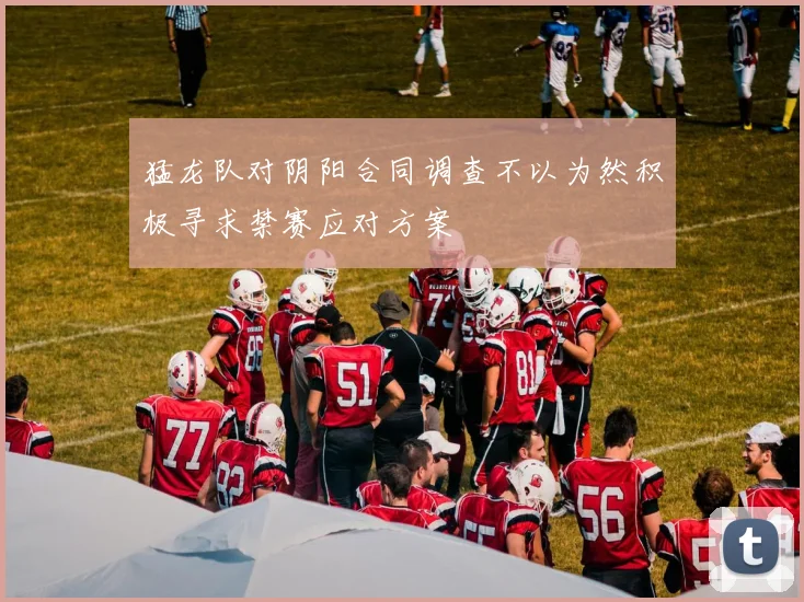 猛龙队对阴阳合同调查不以为然积极寻求禁赛应对方案